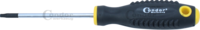 Skrutkovač, T-profil T15x80 mm