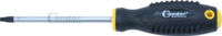Skrutkovač, T-profil T30x125 mm