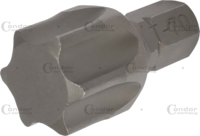 Bit, 8 mm 6-hran, T-Profil T70x30 mm