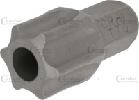 Bit, 10 mm 6-hran, T-Profil SLB T70x30 mm
