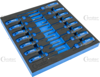Screwdriver Set in Foam 2/3, 15 pcs.