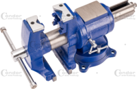 Multi Purpose Bench Vice, 360° rotating head, swivel base 125 mm