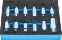 Drain Plug Key Set, 12 pcs.