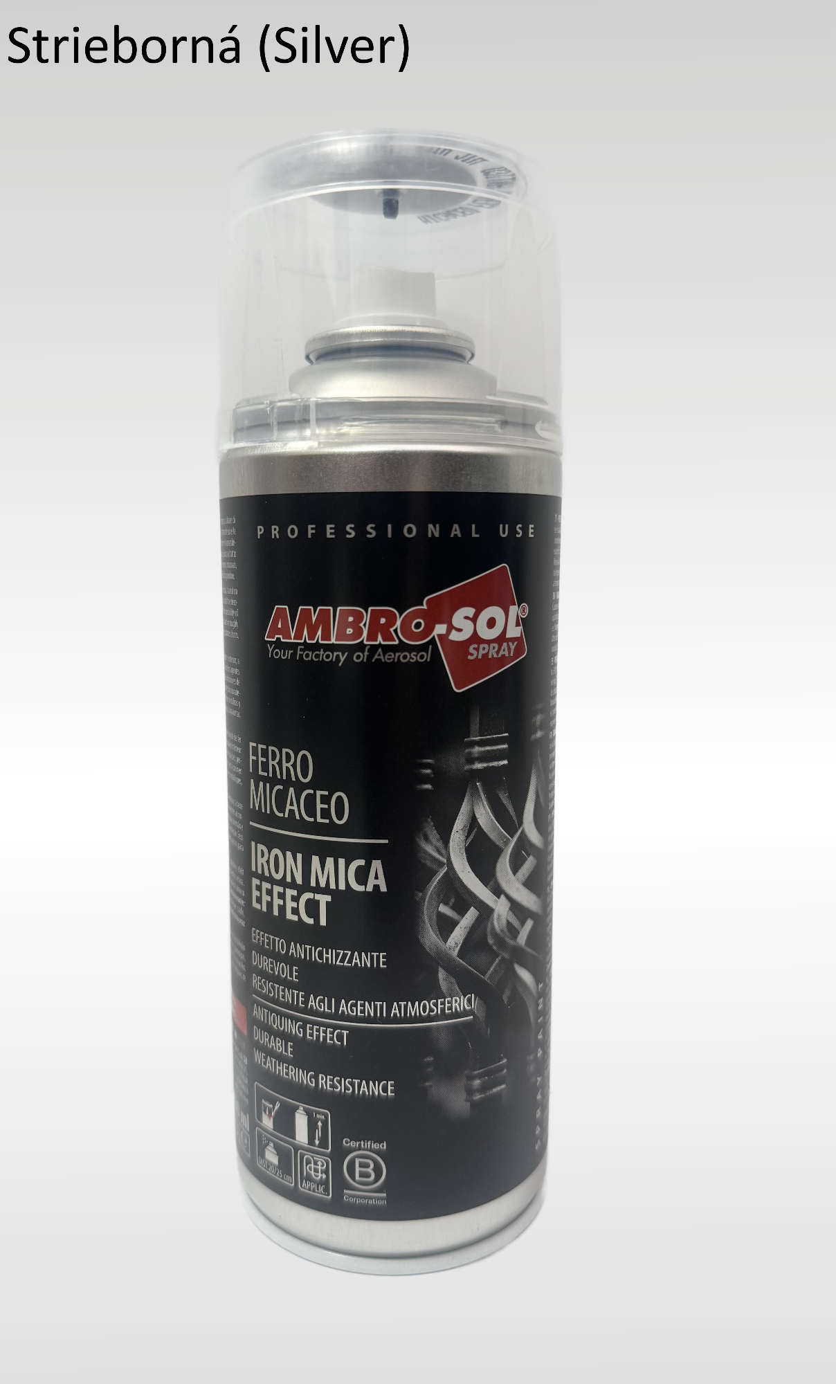 Efekt železa farba Silver 400 ml